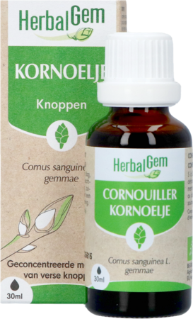 Herbalgem Cornouill Bio 30ml