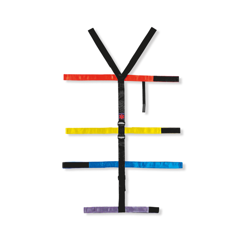 Spider riemen voor BaXstrap